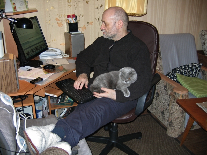 Поговорим о кошках43