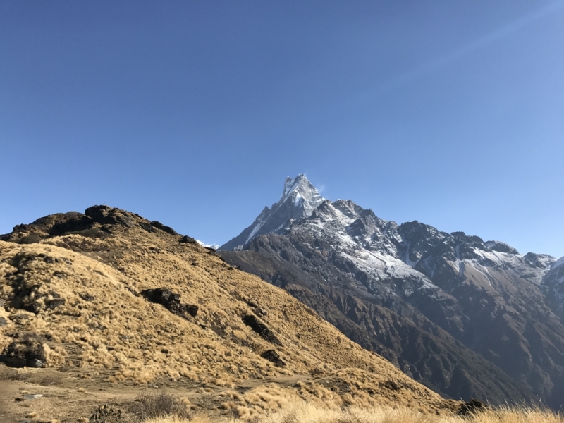 Аннапурна: Mardi Himal, ABC, Добато, Копра. От гурунгов к пунам. Февраль-март 2017