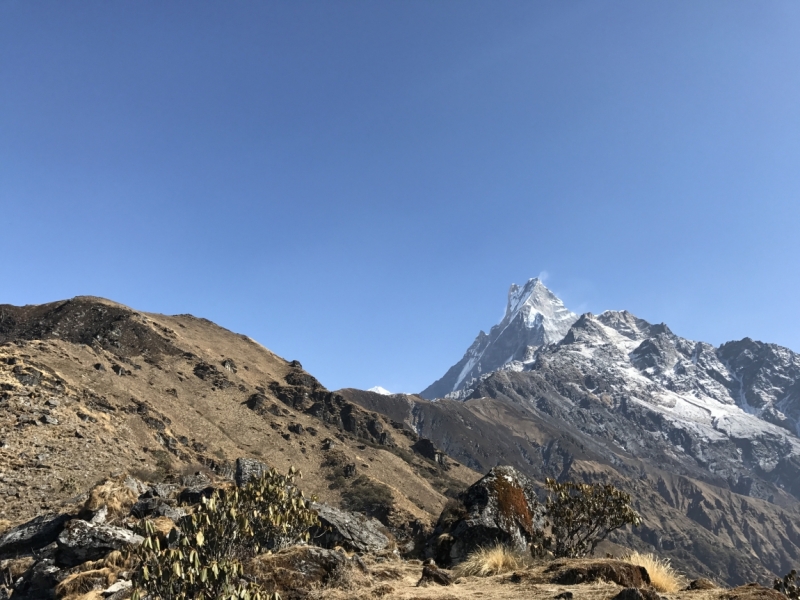 Аннапурна: Mardi Himal, ABC, Добато, Копра. От гурунгов к пунам. Февраль-март 2017