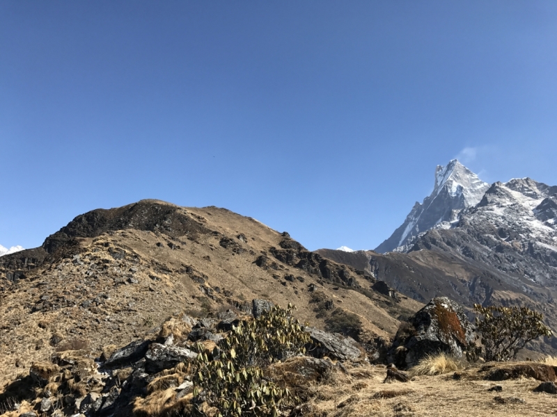 Аннапурна: Mardi Himal, ABC, Добато, Копра. От гурунгов к пунам. Февраль-март 2017