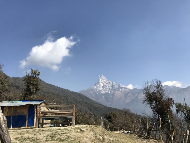 Аннапурна: Mardi Himal, ABC, Добато, Копра. От гурунгов к пунам. Февраль-март 2017