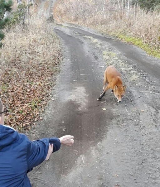 Фотографии животного мира