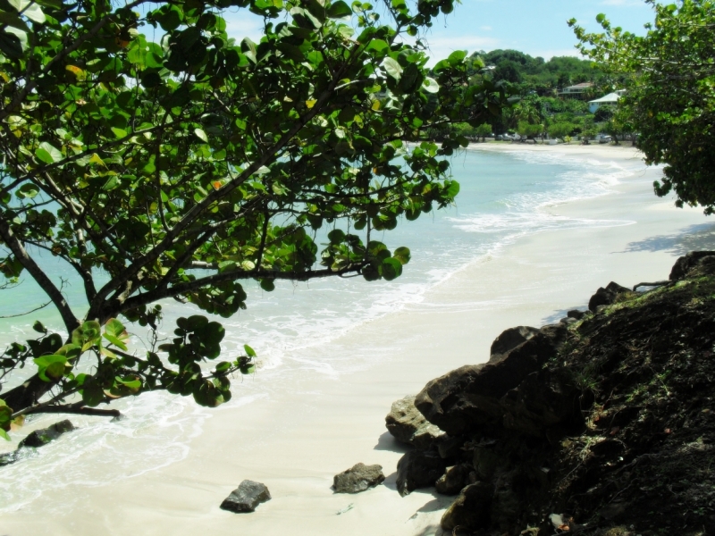 Пляжи Гваделупы и Мартиники. На общественном транспорте