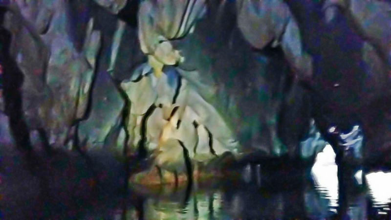 Только Палаван март 2017