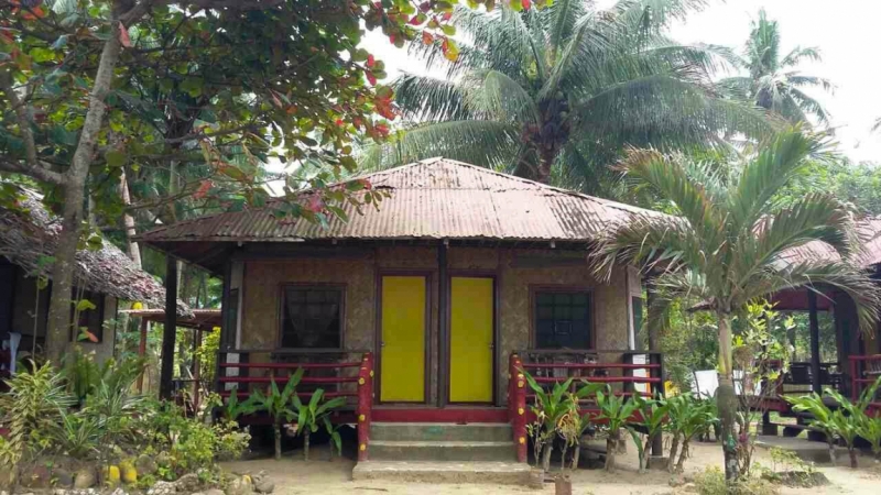 Только Палаван март 2017