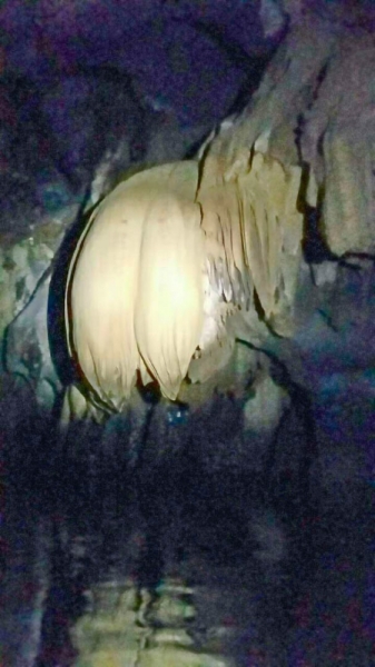 Только Палаван март 2017