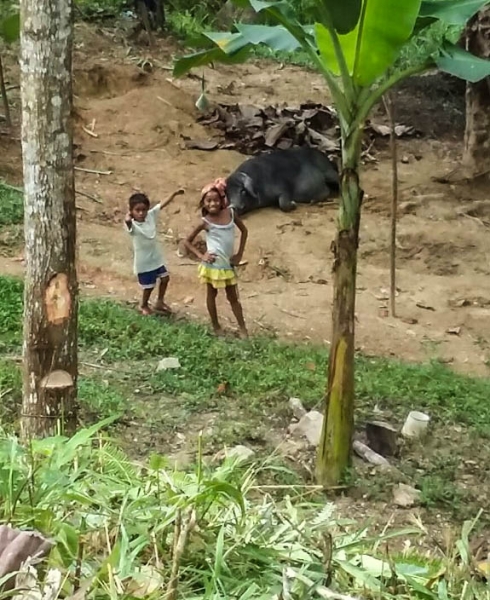 Только Палаван март 2017