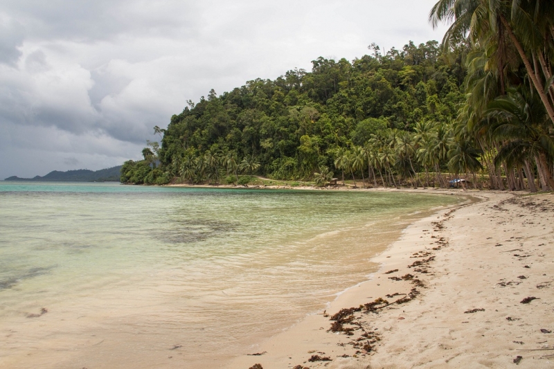 Только Палаван март 2017