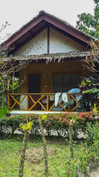 Только Палаван март 2017