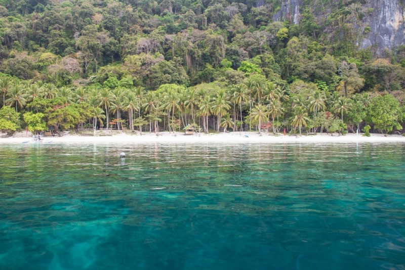 Только Палаван март 2017