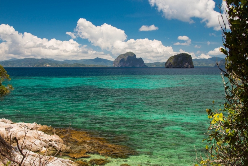 Только Палаван март 2017