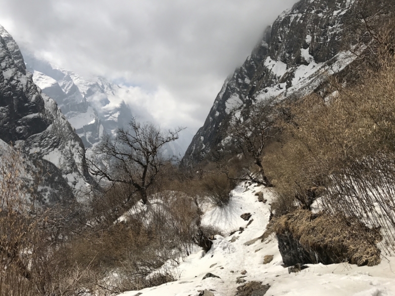 Аннапурна: Mardi Himal, ABC, Добато, Копра. От гурунгов к пунам. Февраль-март 2017