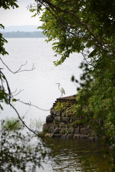 Общественным транспортом по Шри-Ланке в феврале 2017. Смешанные чувства.