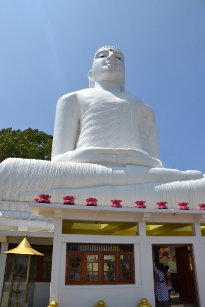 Общественным транспортом по Шри-Ланке в феврале 2017. Смешанные чувства.