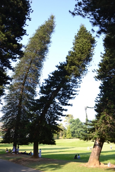 Общественным транспортом по Шри-Ланке в феврале 2017. Смешанные чувства.