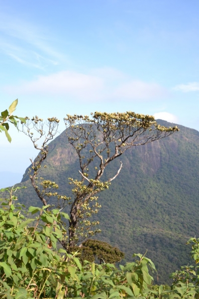 Общественным транспортом по Шри-Ланке в феврале 2017. Смешанные чувства.