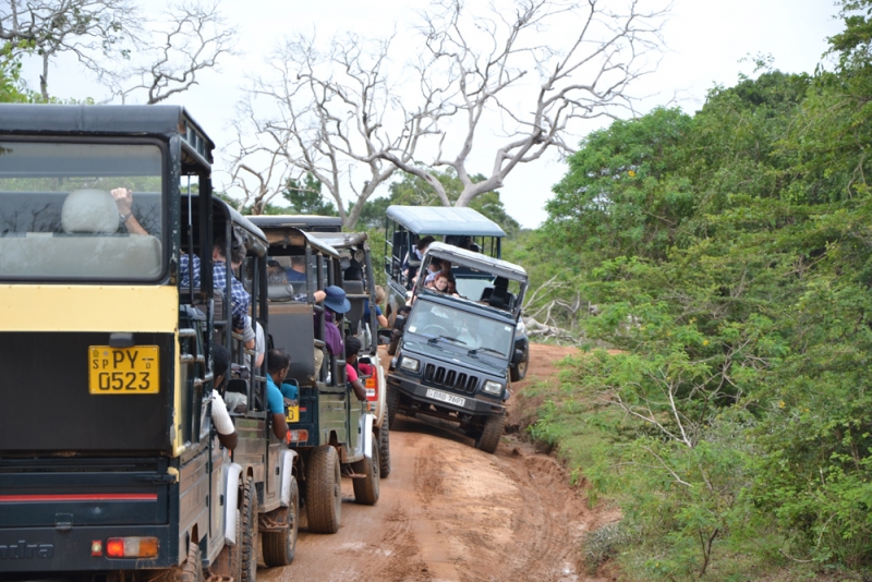 Общественным транспортом по Шри-Ланке в феврале 2017. Смешанные чувства.