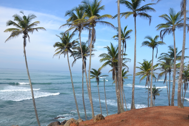 Общественным транспортом по Шри-Ланке в феврале 2017. Смешанные чувства.