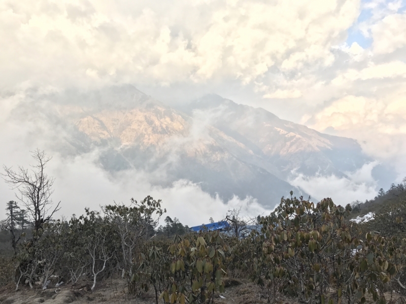 Аннапурна: Mardi Himal, ABC, Добато, Копра. От гурунгов к пунам. Февраль-март 2017