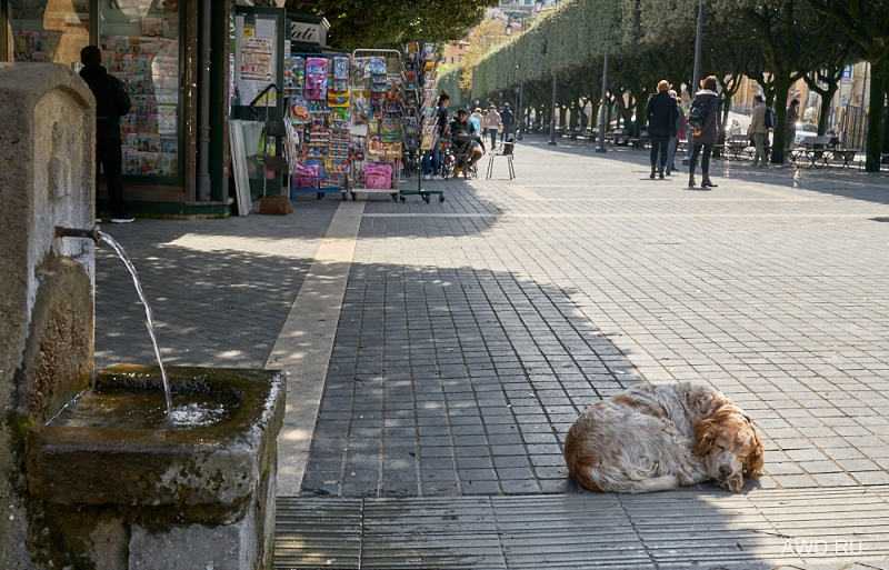 Monte Compatri Кастелли Романи