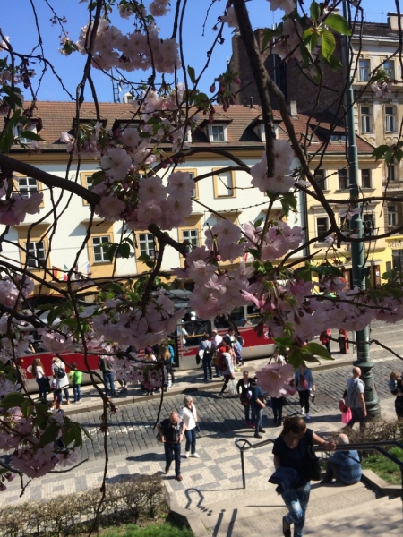 Цветущая Прага, пасхальные ярмарки и история про то, как обстоятельства победили природную лень