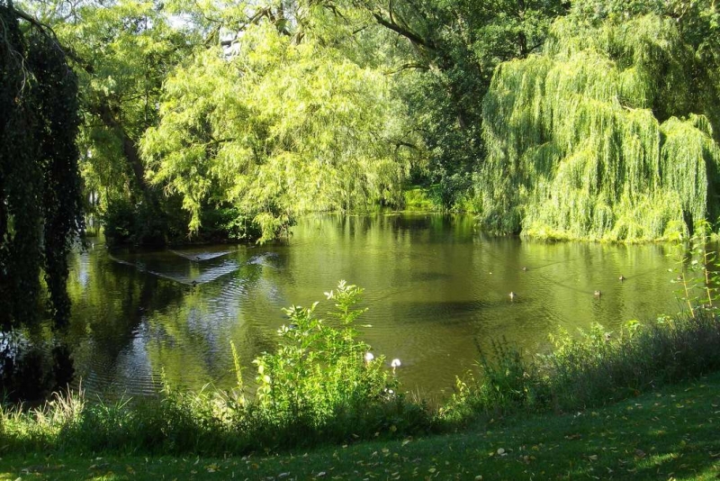 Из провинций в столицу (Нидерланды)