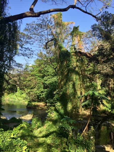 Марш-бросок на север (Флориды), Куба и Центральная Америка на Ошеании Марине, март 2017