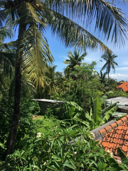 Афганистан работа сейчас