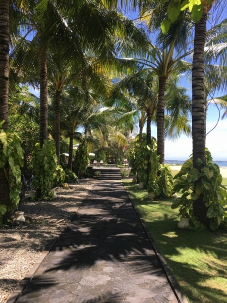 Афганистан работа сейчас