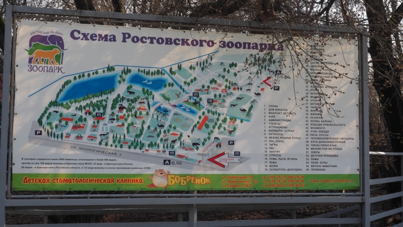 Зоопарк Ростова-на-Дону. Зоопарк Ростова-на-Дону.
