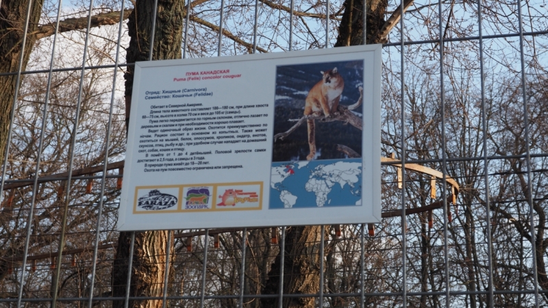 Зоопарк Ростова-на-Дону. Зоопарк Ростова-на-Дону.