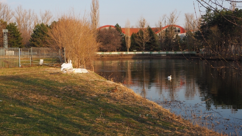 Зоопарк Ростова-на-Дону.