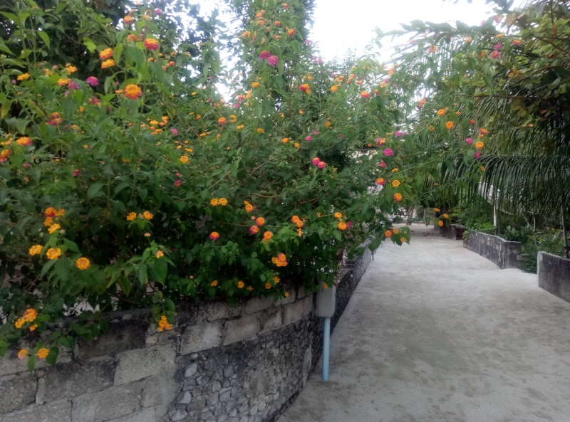 Атолл Goidhu (Гойду) и его острова Fulhadhoo (Фулхадху, Фуладу) и Goidhoo (Гойдху)