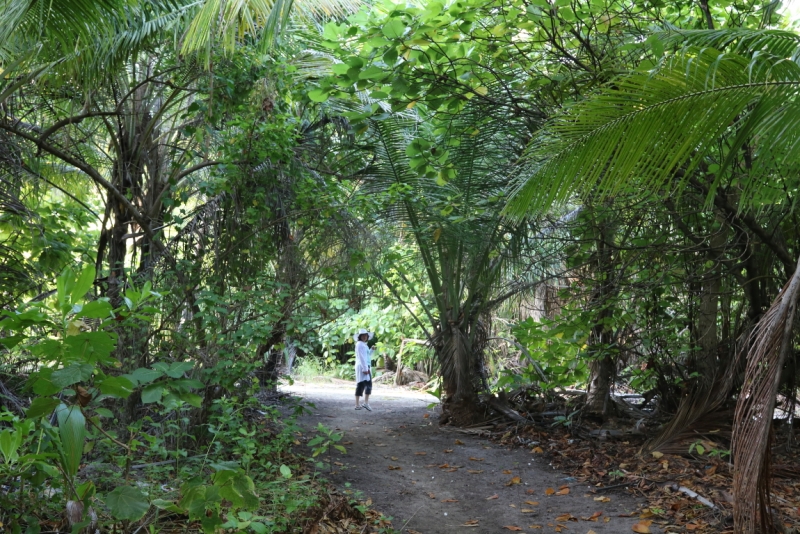 Атолл Goidhu (Гойду) и его острова Fulhadhoo (Фулхадху, Фуладу) и Goidhoo (Гойдху)