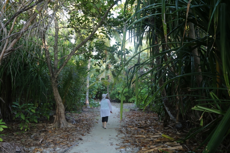 Атолл Goidhu (Гойду) и его острова Fulhadhoo (Фулхадху, Фуладу) и Goidhoo (Гойдху)