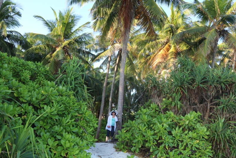 Атолл Goidhu (Гойду) и его острова Fulhadhoo (Фулхадху, Фуладу) и Goidhoo (Гойдху)