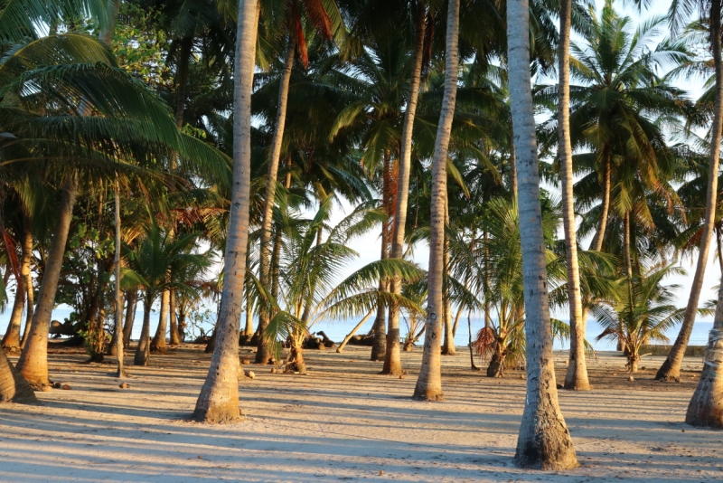 Атолл Goidhu (Гойду) и его острова Fulhadhoo (Фулхадху, Фуладу) и Goidhoo (Гойдху)