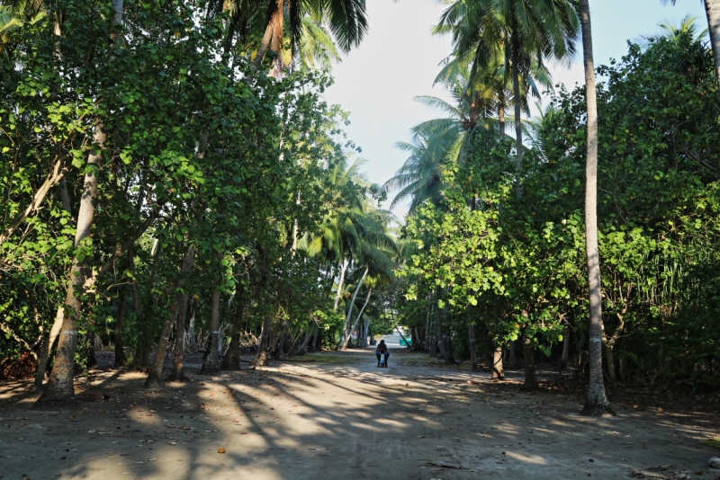 Атолл Goidhu (Гойду) и его острова Fulhadhoo (Фулхадху, Фуладу) и Goidhoo (Гойдху)