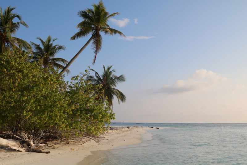 Атолл Goidhu (Гойду) и его острова Fulhadhoo (Фулхадху, Фуладу) и Goidhoo (Гойдху)