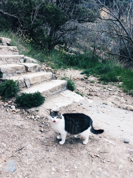Крым девчонками: три морозные апрельские ночи