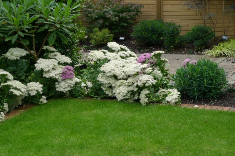 Любимые сады и парки Англии