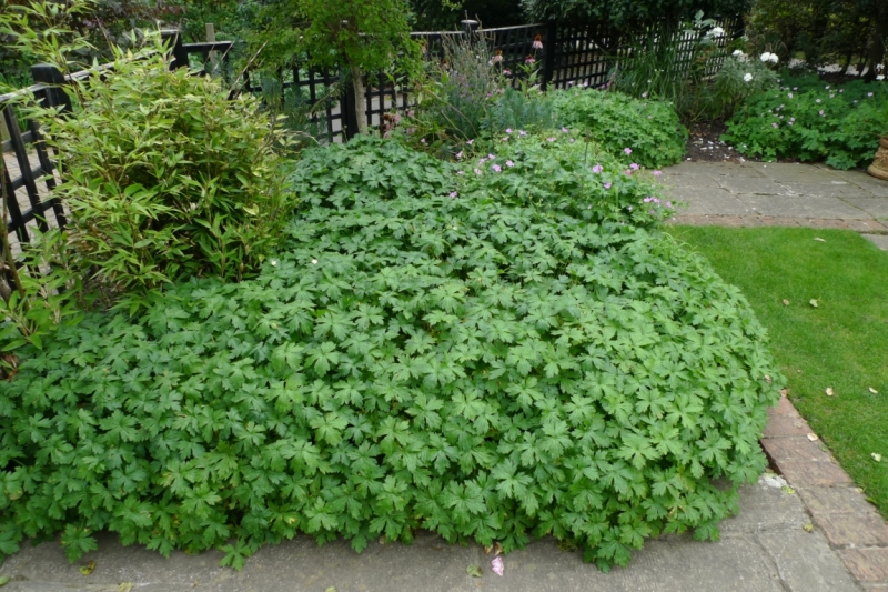 Любимые сады и парки Англии