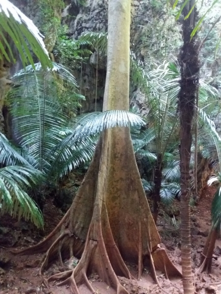 Второй заход. Наш теплый декабрь 2016 (Пхукет, Краби, Бангкок)