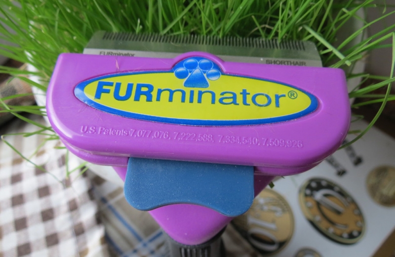 Поговорим о кошках43