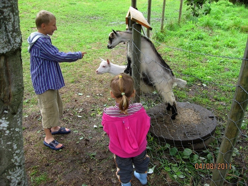 Дети (4 и 8 лет) в гостях у троллей дождливым летом 2011