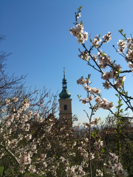 Весна в городе красных крыш. Прага и не только...