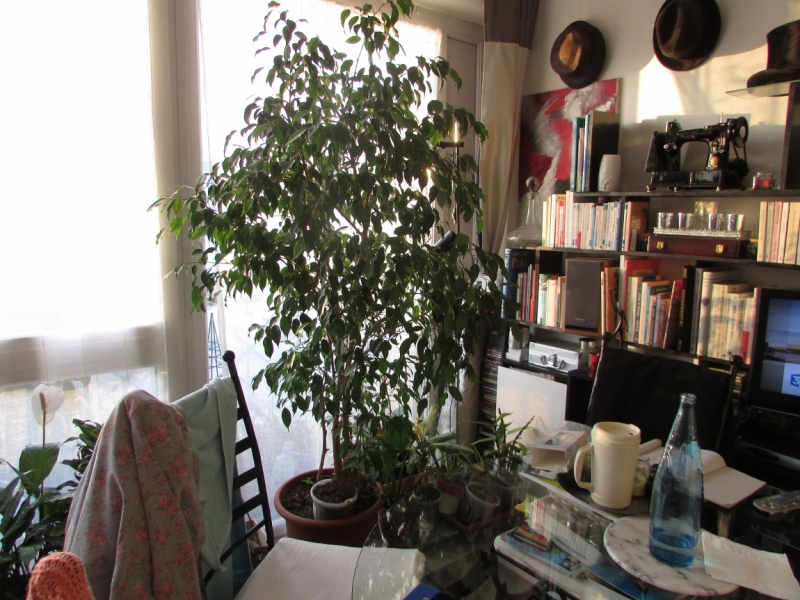 Париж, Париж, Париж или сбывшиеся мечты мамы и дочи