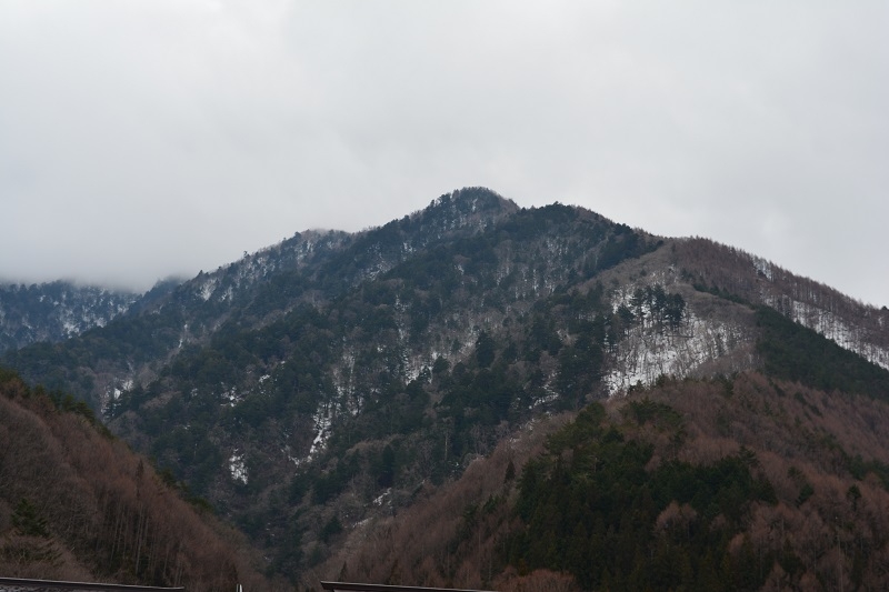 Непредсказуемая сакура, 2 недели в апреле.