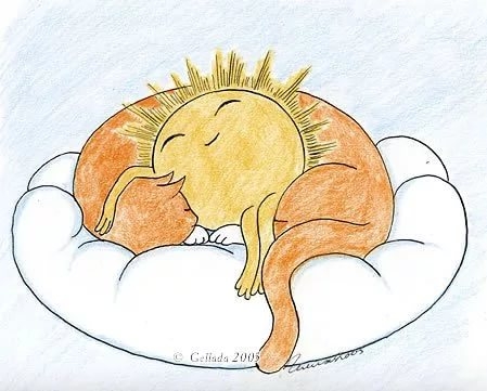 Поговорим о кошках43