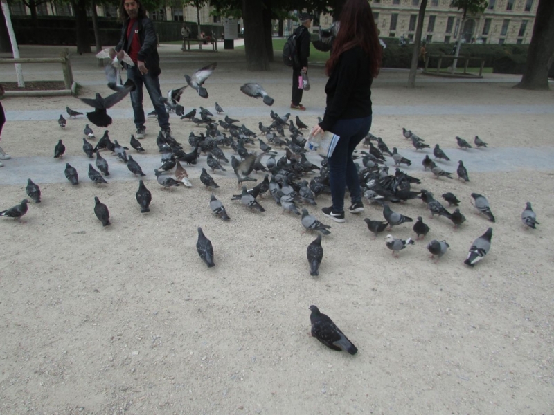 Париж, Париж, Париж или сбывшиеся мечты мамы и дочи